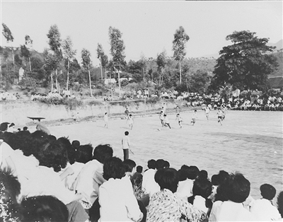 泛黃影像里的時(shí)代印記 軟件開發(fā)視角下的雙第農(nóng)場歷史變遷