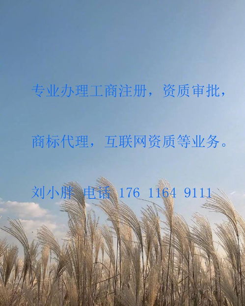 豐臺(tái)成壽寺辦理網(wǎng)絡(luò)文化經(jīng)營(yíng)許可證（文網(wǎng)文）條件及加急服務(wù)指南